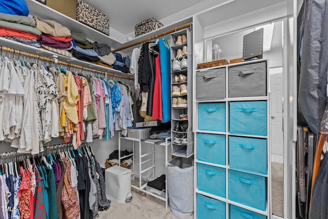 walk in closet featuring carpet floors