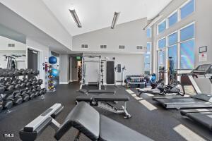 exercise room featuring high vaulted ceiling