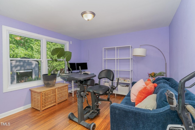 office with baseboards and hardwood / wood-style flooring