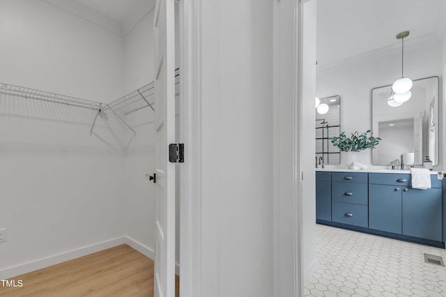 801 N Elm St, Durham, NC 27701 - walk in closet with a sink, light wood-style flooring, and visible vents
