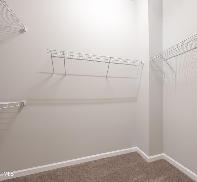 walk in closet with carpet