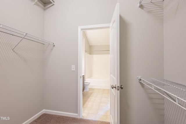 view of walk in closet