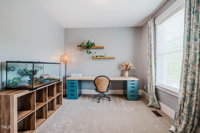 281 N Serenity Hill Cir, Chapel Hill, NC 27516 - home office with carpet and baseboards