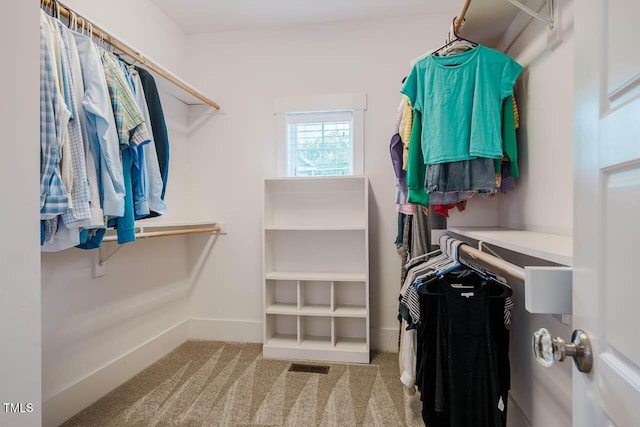 281 N Serenity Hill Cir, Chapel Hill, NC 27516 - walk in closet featuring carpet floors