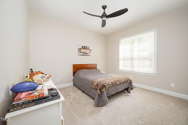 25 Williamston Ridge Dr, Youngsville, NC 27596 - photo 22