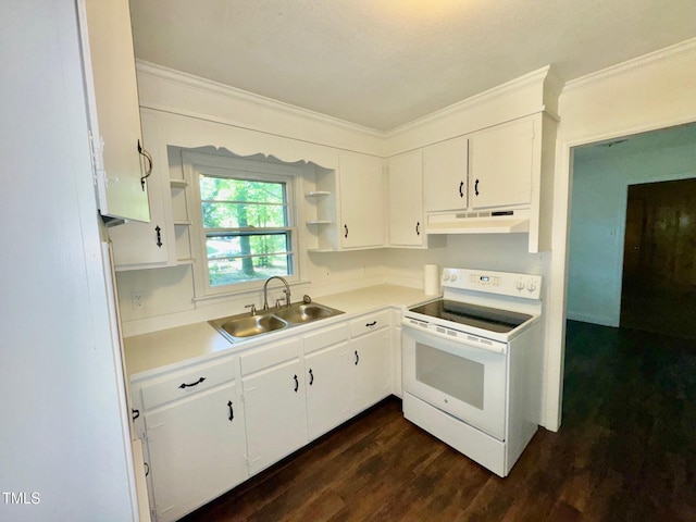 1713 S Garnett St, Henderson, NC 27536 - kitchen with white electric range, a sink, open shelves, crown molding, and dark wood-style floors