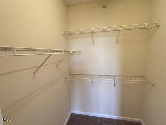 view of walk in closet