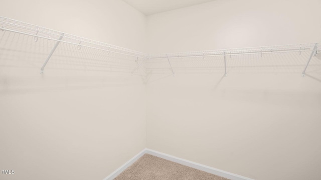 spacious closet with carpet