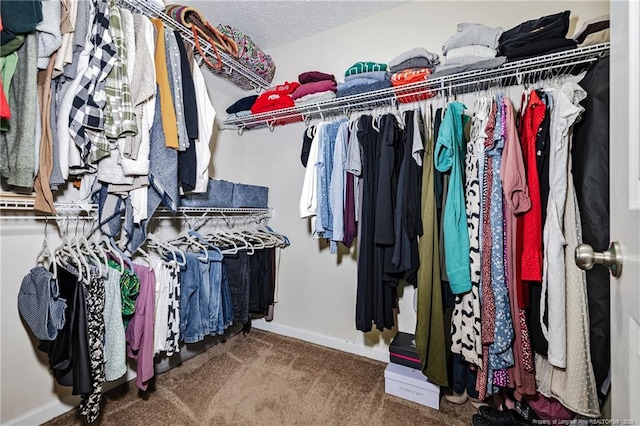 spacious closet featuring carpet floors