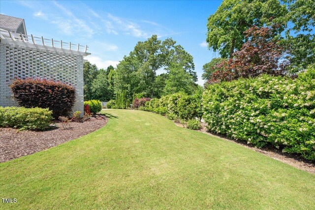 view of green lawn