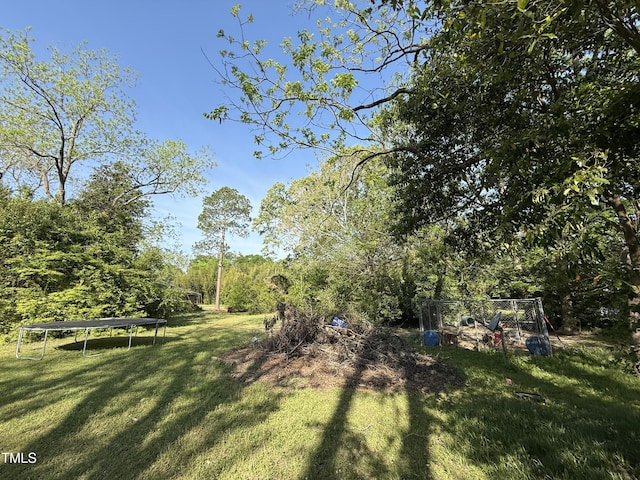 view of yard featuring a trampoline