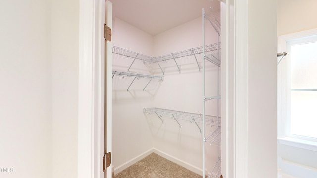 3725 Huntcliff Dr, La Grange, NC 28551 - spacious closet featuring carpet floors