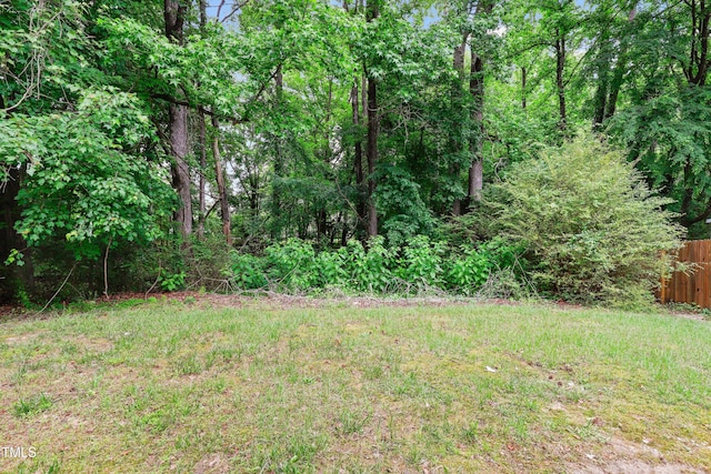3223 Polite Ln, Raleigh, NC 27610 - view of yard with fence