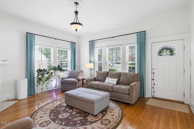 living room with light wood-type flooring and ornamental molding