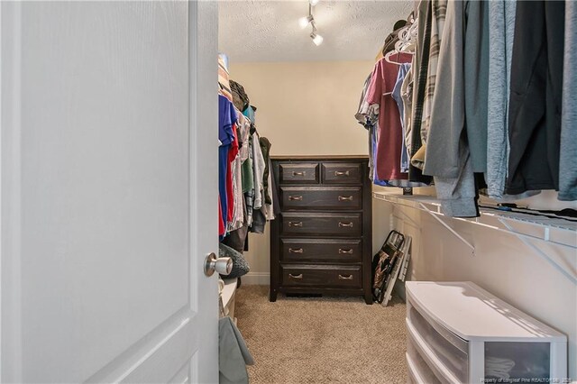 walk in closet featuring light colored carpet