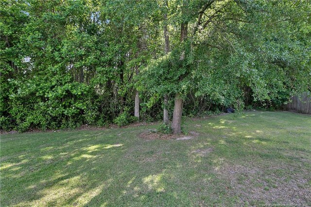 4631 Cedar Pass Dr, Hope Mills, NC 28348 - view of yard with fence