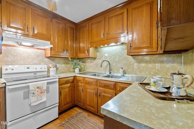 kitchen with a sink, brown cabinets, under cabinet range hood, and electric range