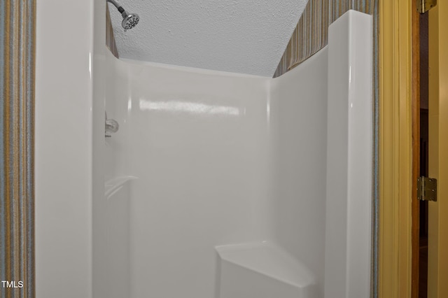 interior details featuring walk in shower