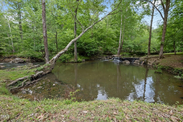 property view of water featuring a view of trees