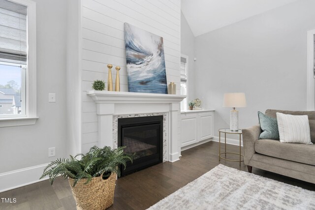 277 High Ridge Ln, Pittsboro, NC 27312 - living area with a glass covered fireplace, baseboards, dark wood-type flooring, and lofted ceiling