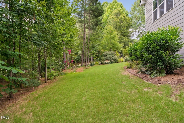 277 High Ridge Ln, Pittsboro, NC 27312 - view of yard
