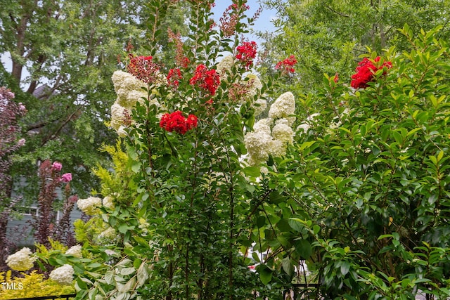 277 High Ridge Ln, Pittsboro, NC 27312 - view of details