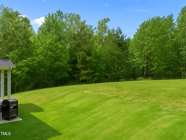 5 Cinnamon Teal Way, Youngsville, NC 27596 - view of grassy yard