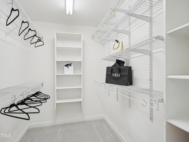 113 Bergeron Way, Cary, NC 27519 - spacious closet featuring carpet flooring