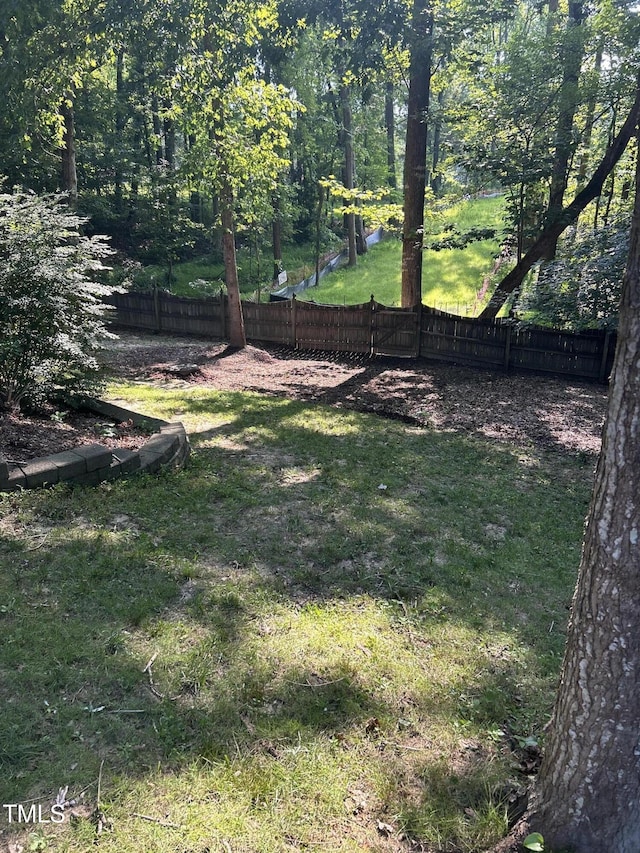 113 Bergeron Way, Cary, NC 27519 - photo 50