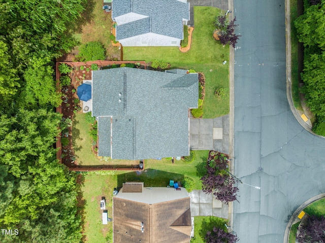 bird's eye view
