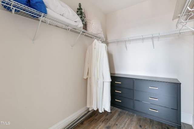 walk in closet with dark wood finished floors