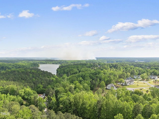 bird's eye view featuring a water view and a wooded view