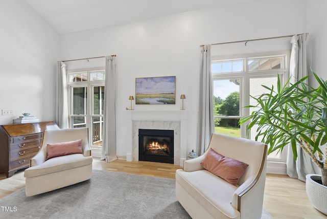 sitting room featuring wood finished floors and a fireplace