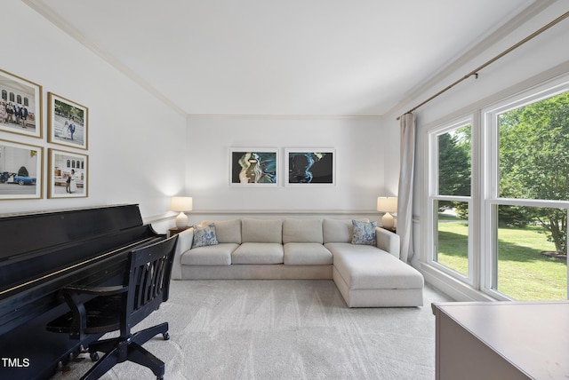 carpeted living room with crown molding and a wealth of natural light