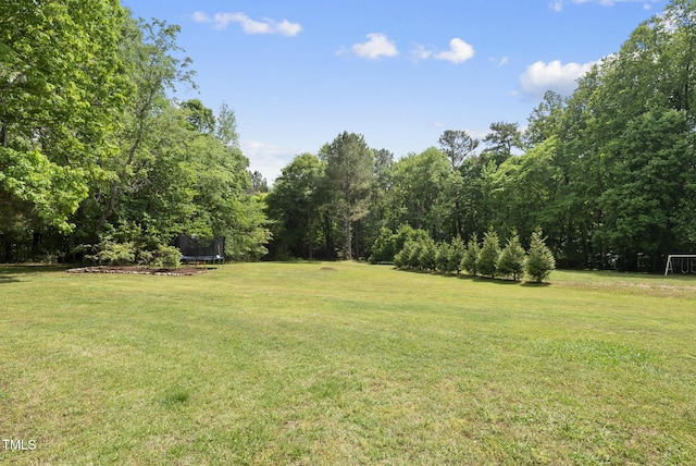 view of yard with a trampoline