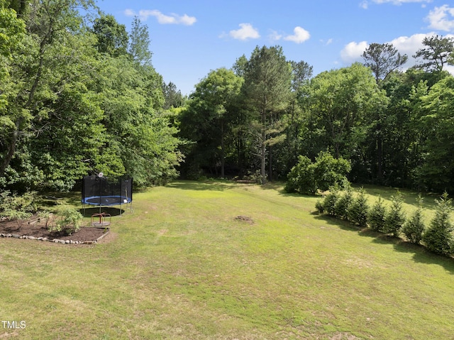 view of yard with a trampoline
