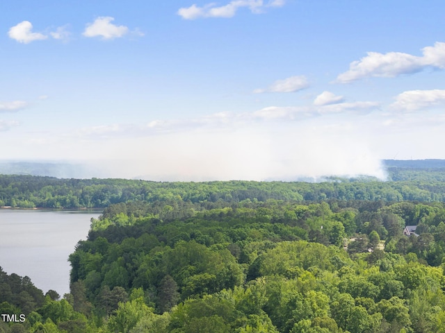 birds eye view of property with a forest view and a water view