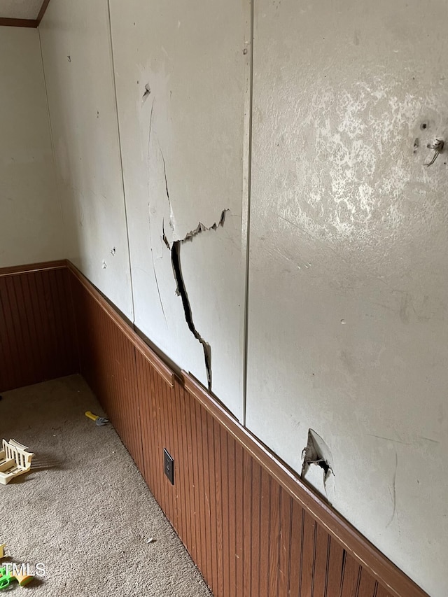 room details with wood walls, wainscoting, and carpet