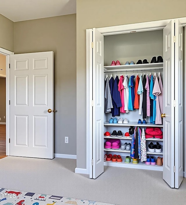 5029 Carole Dr, Wilson, NC 27893 - view of closet