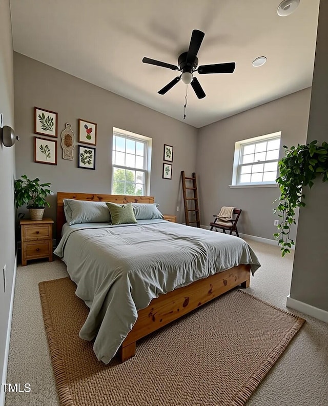 5029 Carole Dr, Wilson, NC 27893 - carpeted bedroom with multiple windows, baseboards, and ceiling fan