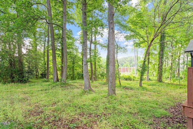 5613 Deerborn Dr, Apex, NC 27539 - view of yard