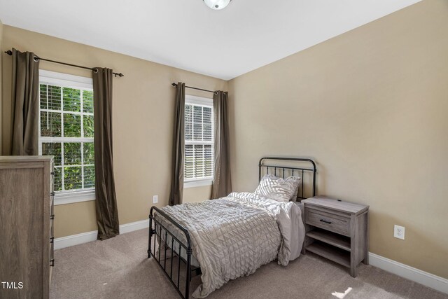 95 Live Oak Dr, Louisburg, NC 27549 - carpeted bedroom with baseboards