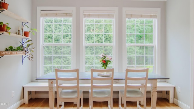 dining area featuring plenty of natural light, baseboards, and wood finished floors