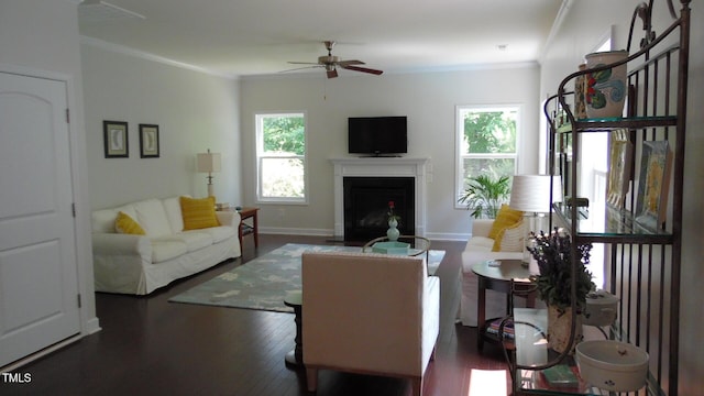 106 N Duelling Oaks Dr, Chapel Hill, NC 27517 - living room with ceiling fan, crown molding, wood finished floors, a fireplace, and baseboards