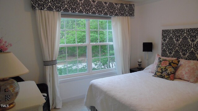 106 N Duelling Oaks Dr, Chapel Hill, NC 27517 - bedroom featuring multiple windows
