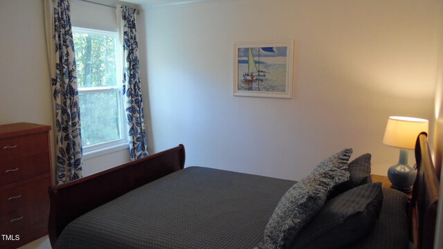 106 N Duelling Oaks Dr, Chapel Hill, NC 27517 - bedroom featuring multiple windows