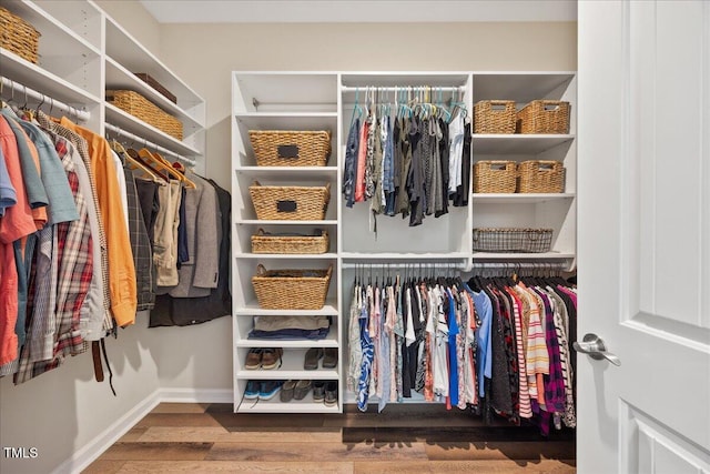 1533 Santa Lucia St, Wake Forest, NC 27587 - walk in closet with wood finished floors