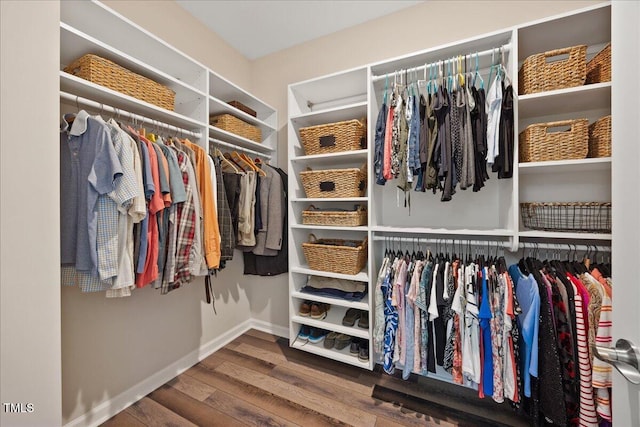 1533 Santa Lucia St, Wake Forest, NC 27587 - walk in closet featuring wood finished floors