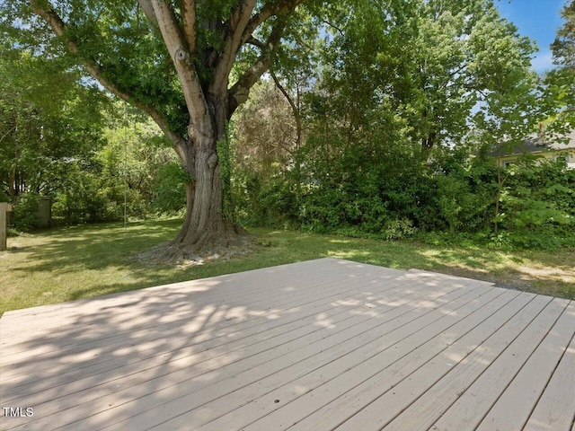 deck featuring a yard