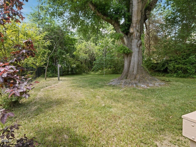 view of yard